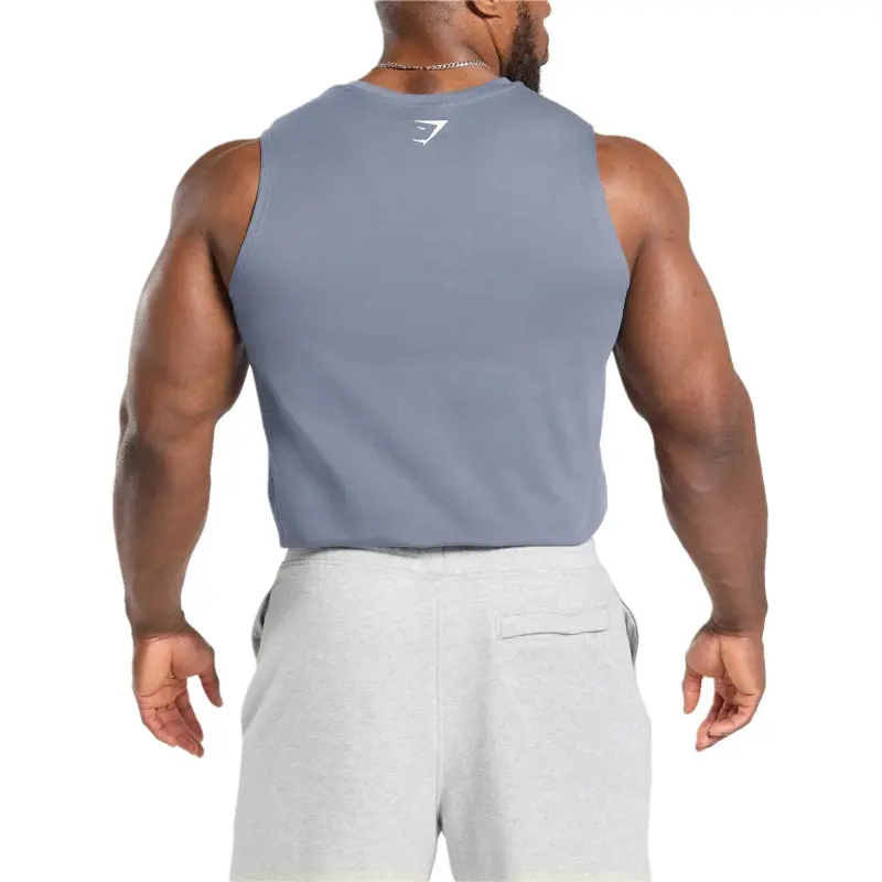 GYMSHARK FW24 T Shirt Men's Iron Blue-2