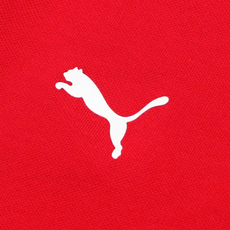 PUMA Polo Shirts Men Red-2