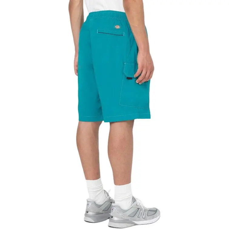 Dickies Casual Shorts Men's Dark Lake Blue-2