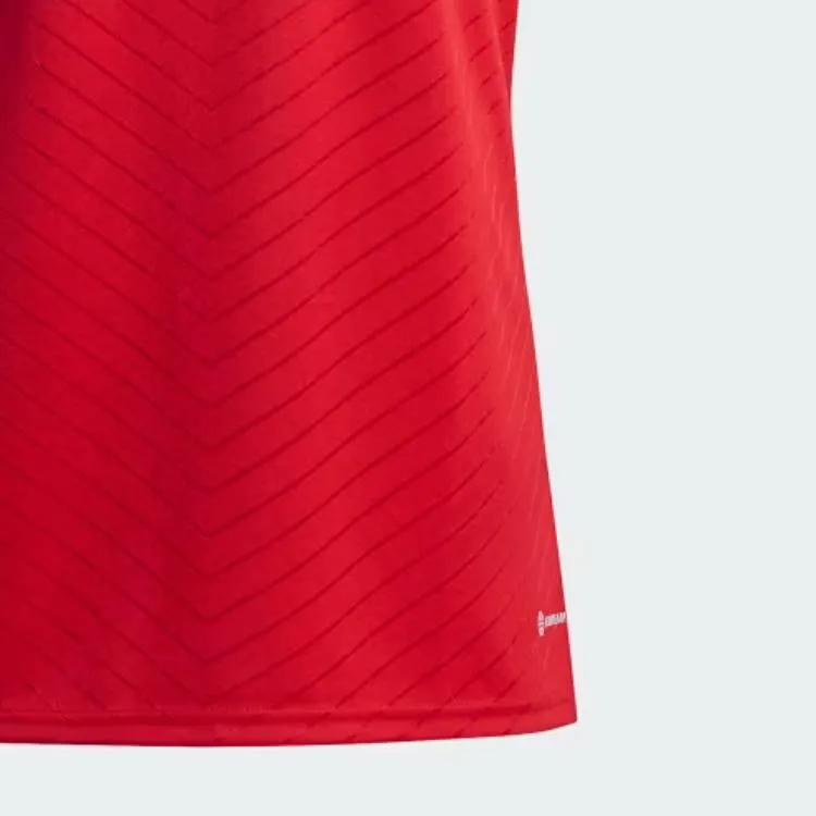 Adidas Free Shipping With AdiClub Campeon 23 Jersey-3