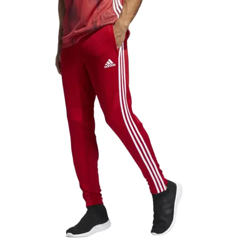 Adidas Tiro 19 Training Pants-2