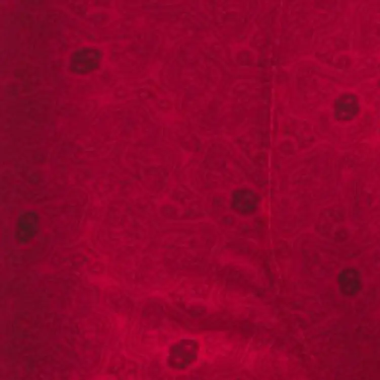 HUGO BOSS Underpants Men's 1 Pack Red-1