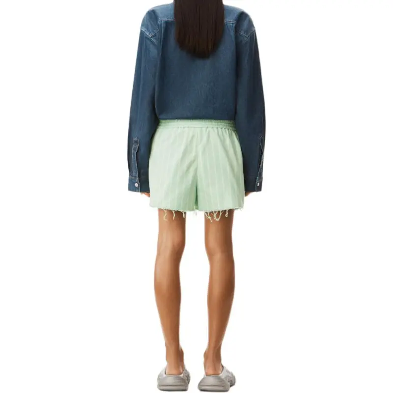 Alexander Wang Logo patch Striped Shorts-5