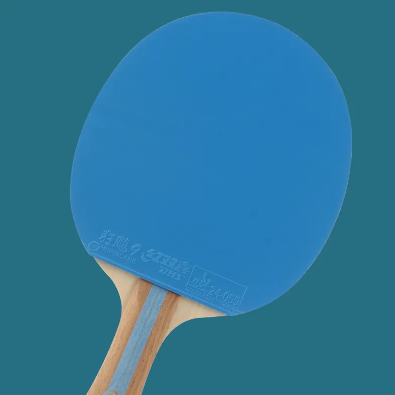 DHS Ping Pong Paddles-4