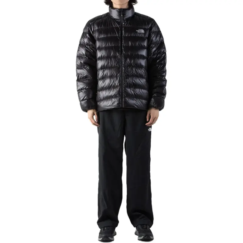 THE NORTH FACE Down Jacket Men's Black-3