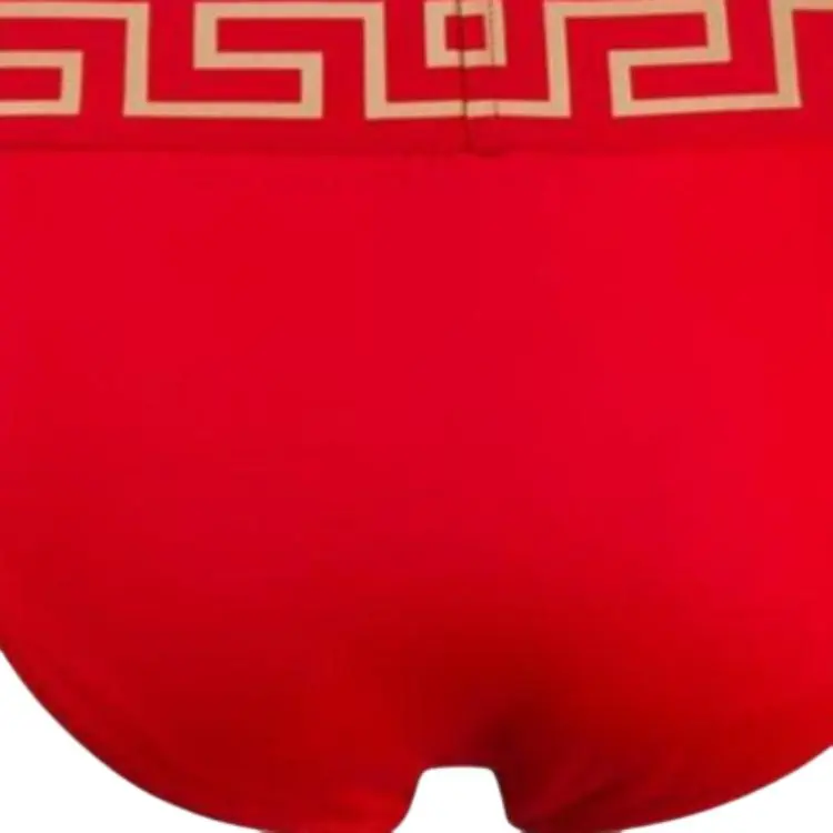 VERSACE Greca Border Swim Briefs-3