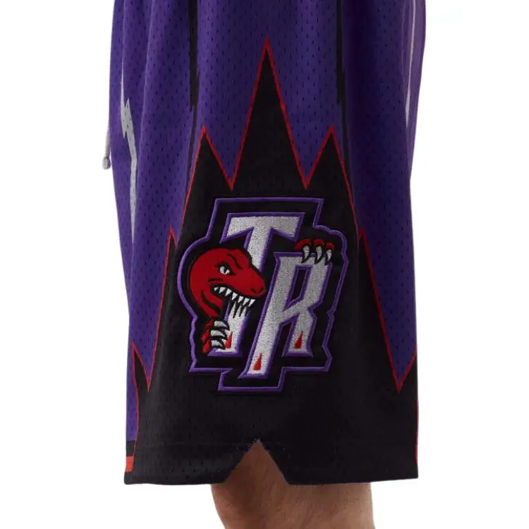 Mitchell & Ness Basketball Shorts Unisex Purple-3