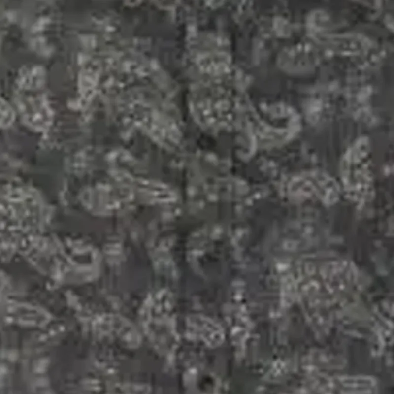 Brunello Cucinelli Paisley Printed Button Up Shirt-3
