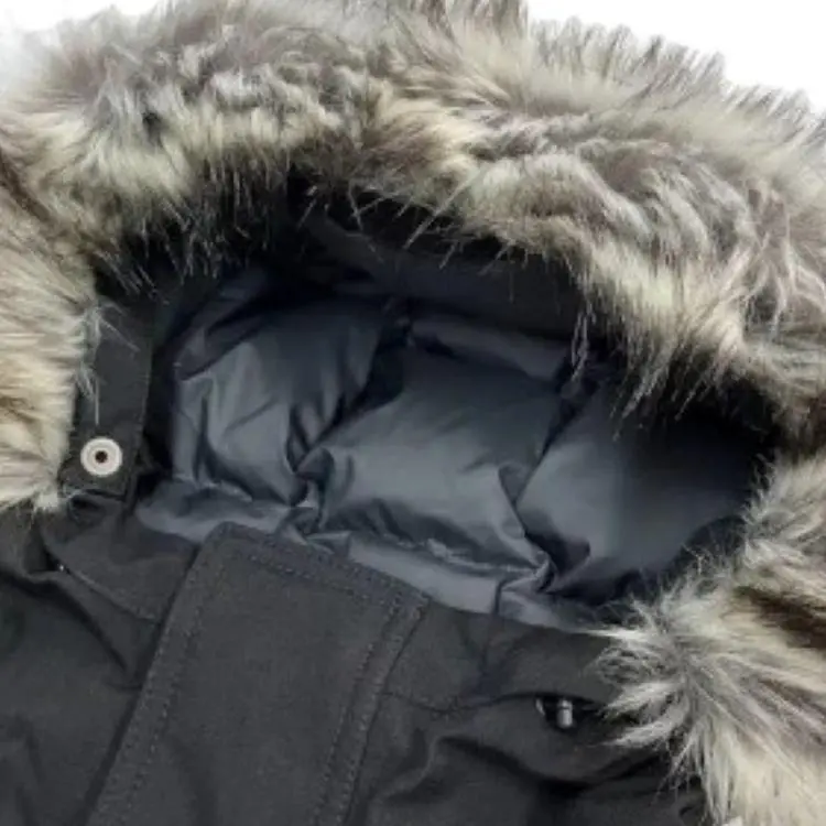 THE NORTH FACE Gotham 2 Down Jacket Men's Black-1