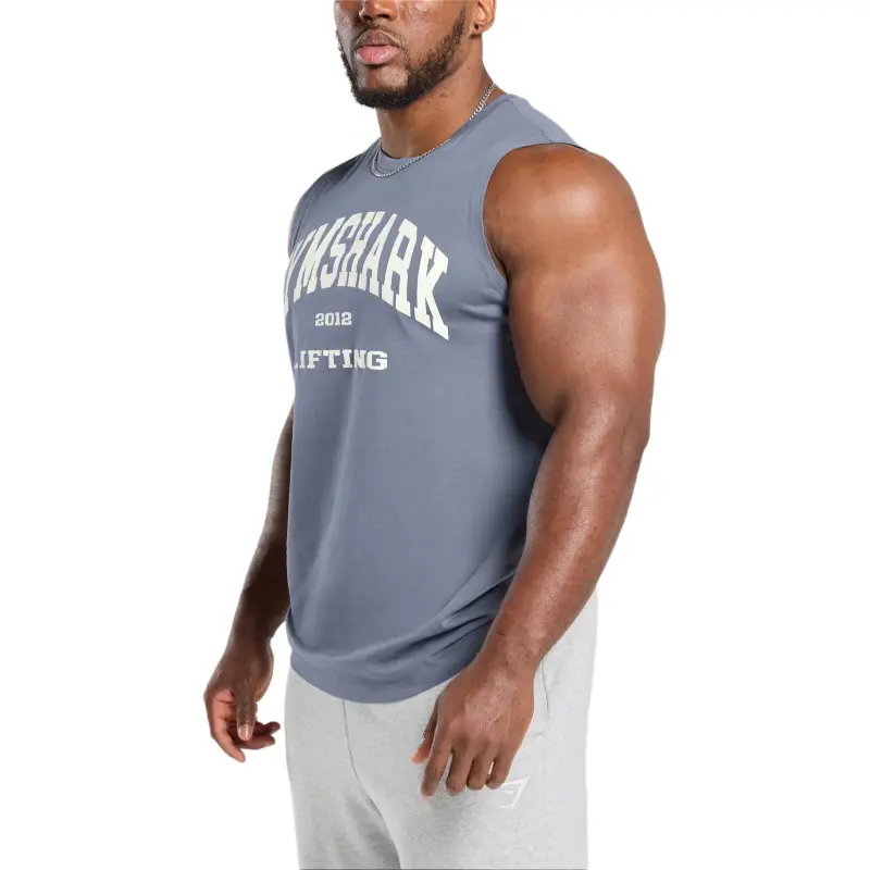 GYMSHARK FW24 T Shirt Men's Iron Blue-3