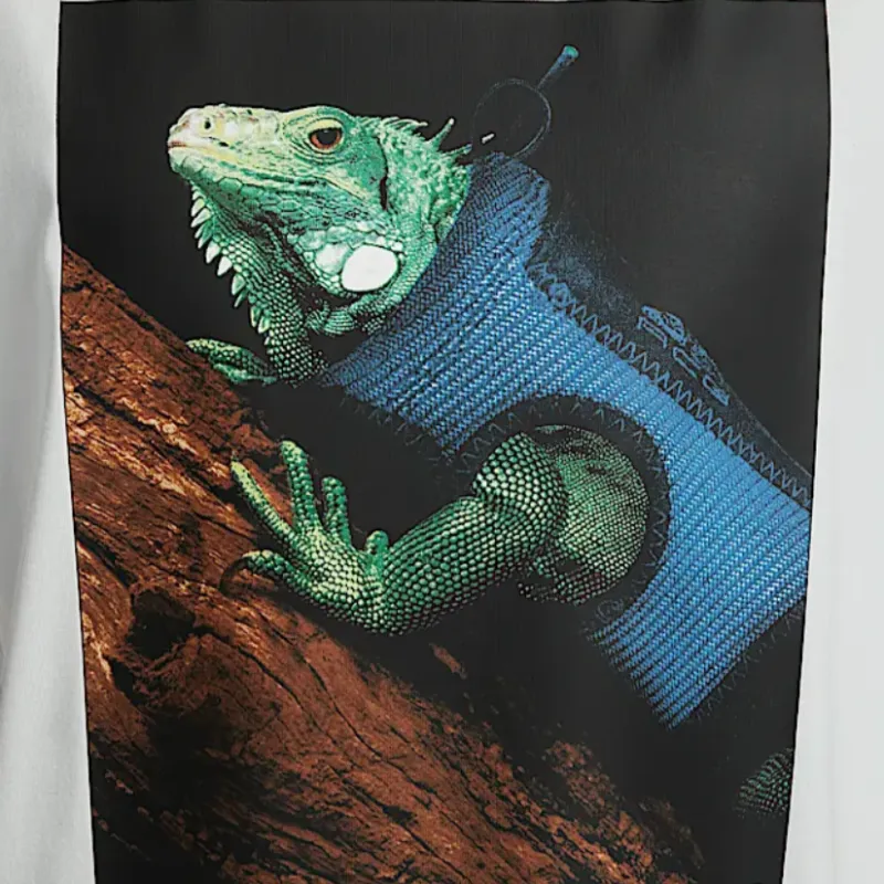 Nike Acg Iguana T shirt-3