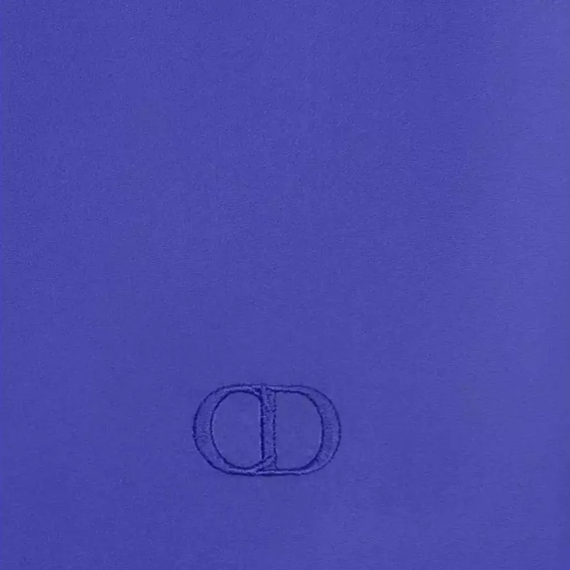 DIOR Casual Shorts Men Purple-4