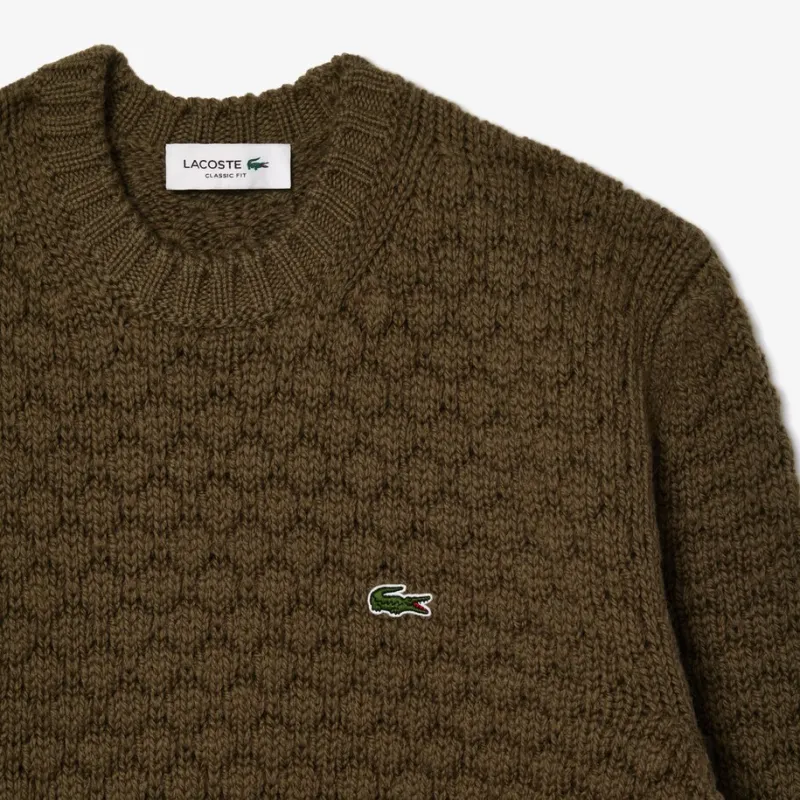 LACOSTE Wool Crew-neck Sweater-4