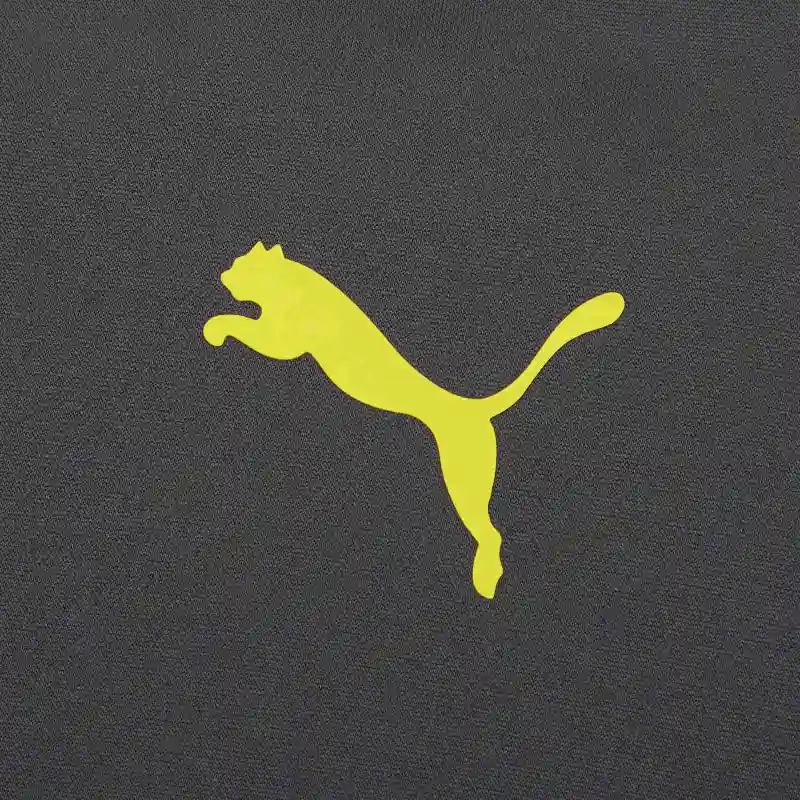 PUMA BVB PREMATCH 1/4 Zip Top Asphalt Soccer Jerseys Unisex Gray-3