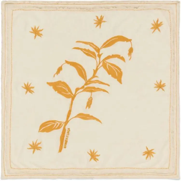 Bimba Y Lola Embroidered Scarf-2