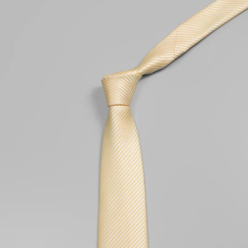 GOLDLION Ties Men-16