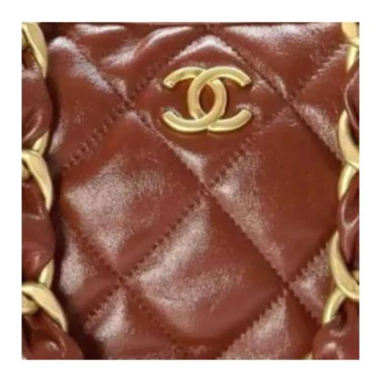 CHANEL Polished Lambskin Hobo Bag, Handbag, Shoulder Bag Trumpets Women's Brown-6