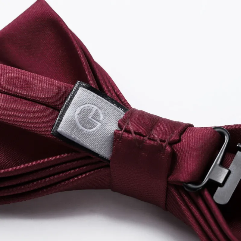 GOLDLION Ties Men-14