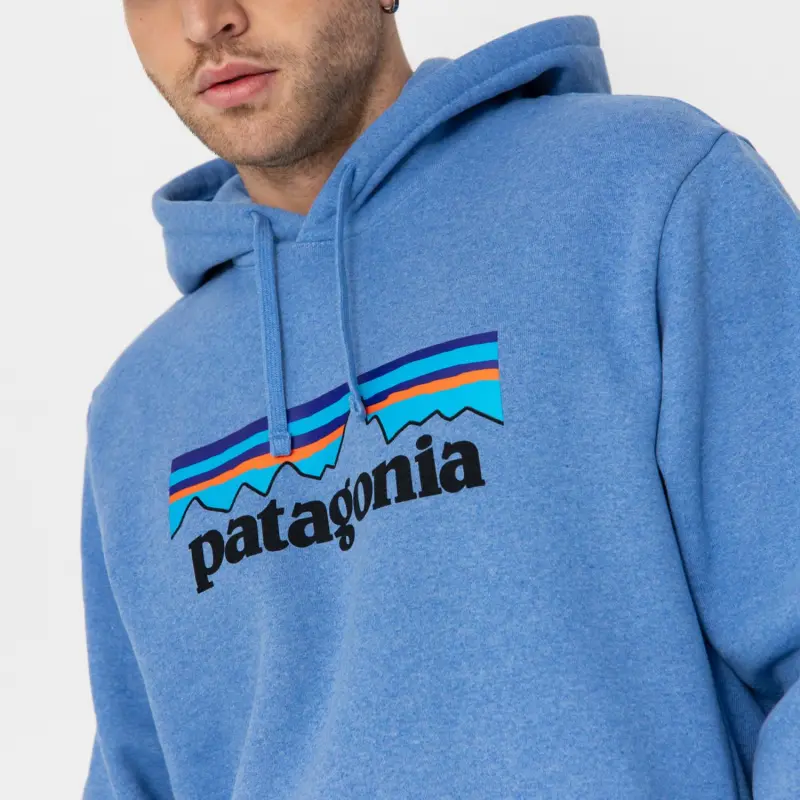 Patagonia Logo print Hoodie-3