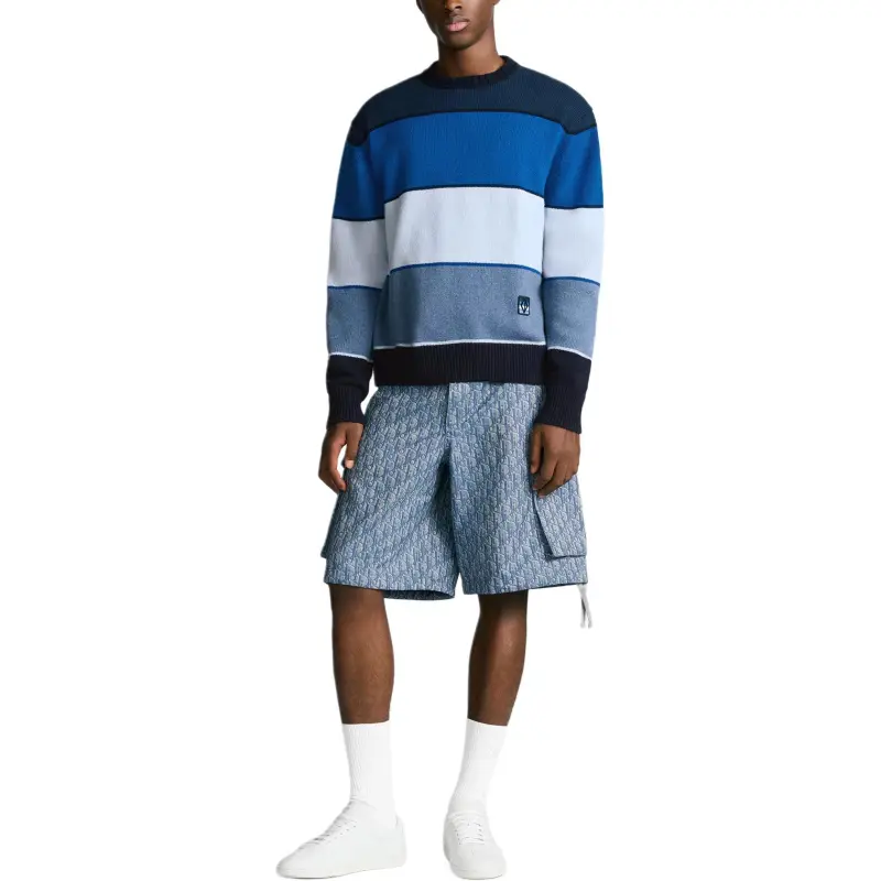 DIOR FW25 Cashmere Sweater Men's Multicolor-4