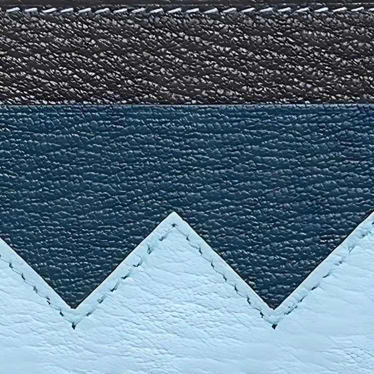 HERMES Mysore Goat Skin Card Holder Mini Men's Carbon Black/Dark Blue/Wind Blue-3