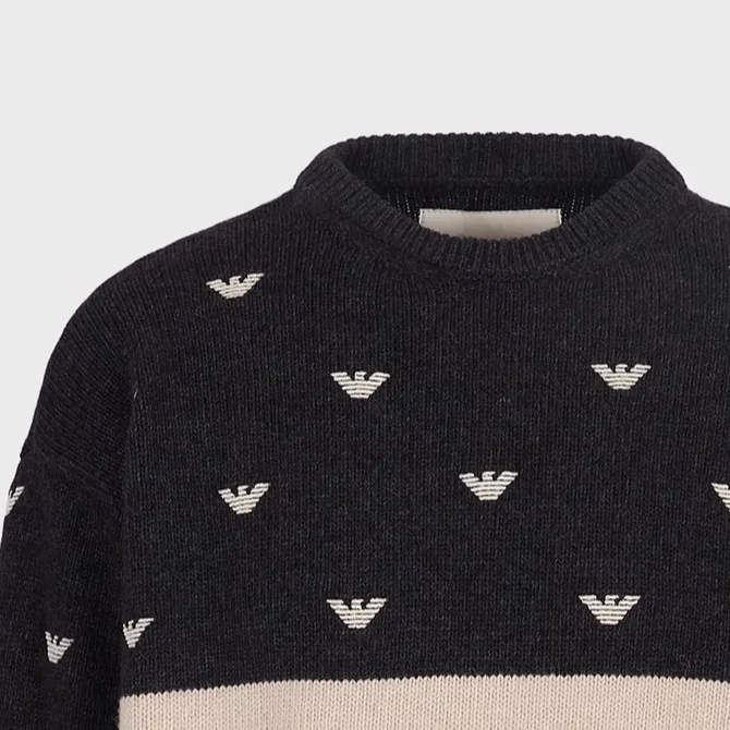EMPORIO ARMANI FW22 Sweater Men's Multicolor-5