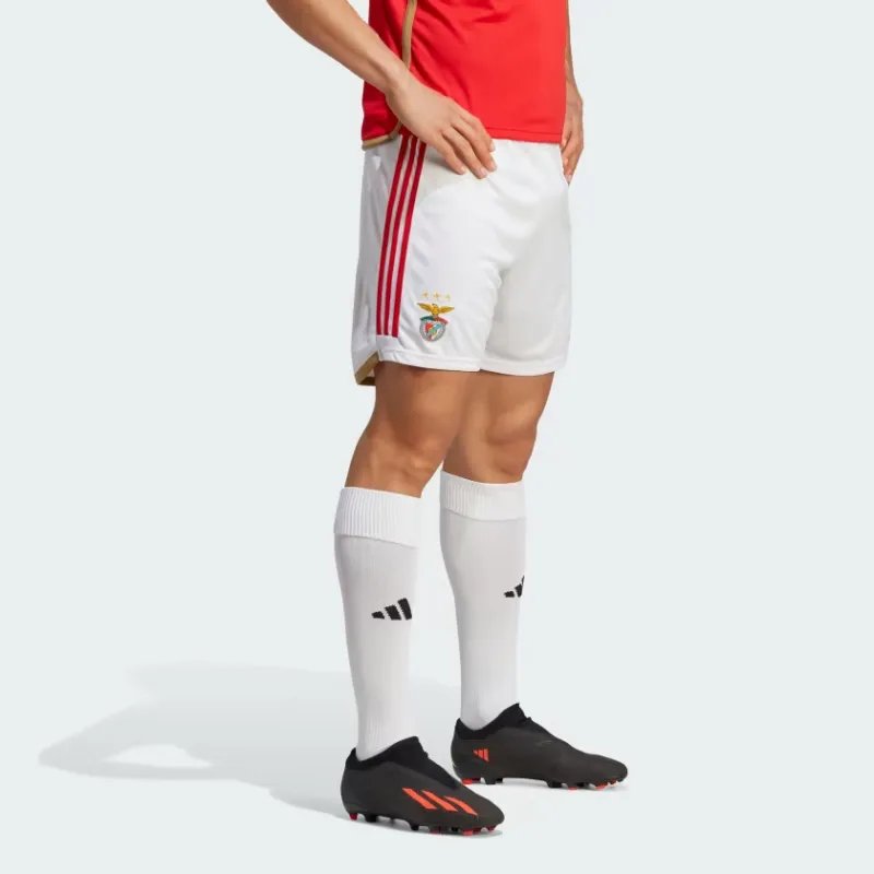 Adidas BENFICA 23/24 HOME SHORTS Soccer Bottoms Men's White-2