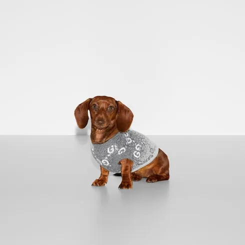 GUCCI Pet Clothing-3