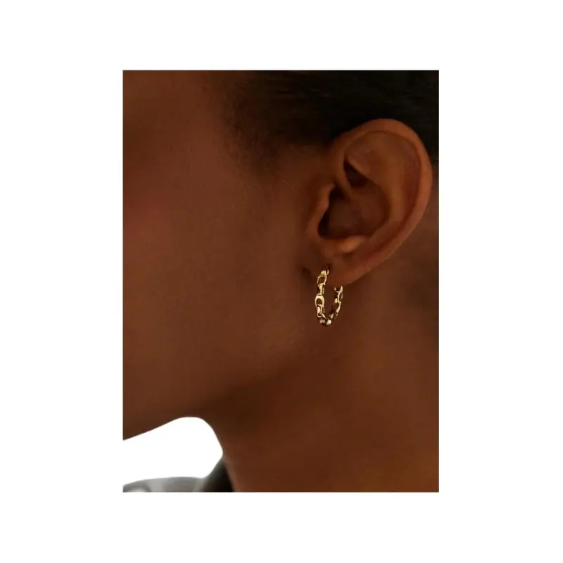COACH Brass Earrings Unisex Gold-3