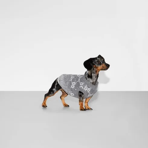 GUCCI Pet Clothing-5