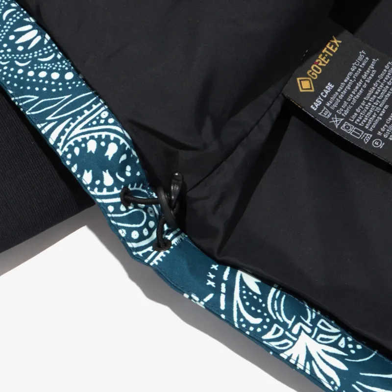 THE NORTH FACE Novelty Gtx Paisley Mountain Jacket-3