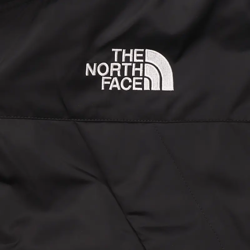 THE NORTH FACE Down Jacket Unisex Black-2