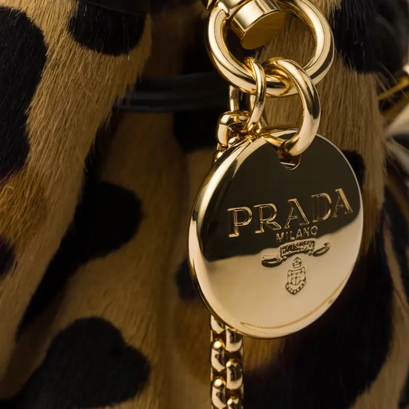PRADA Printed Leather Bucket Bag, Shoulder Bag, Crossbody Bag Mini Women's Light Brown-4