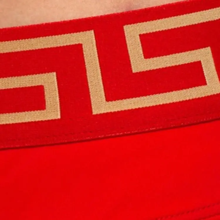 VERSACE Greca Border Swim Briefs-4