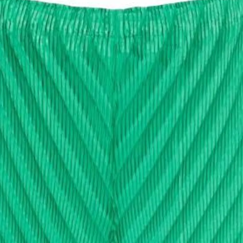 ISSEY MIYAKE Nuance Pleats Solid Trousers-2