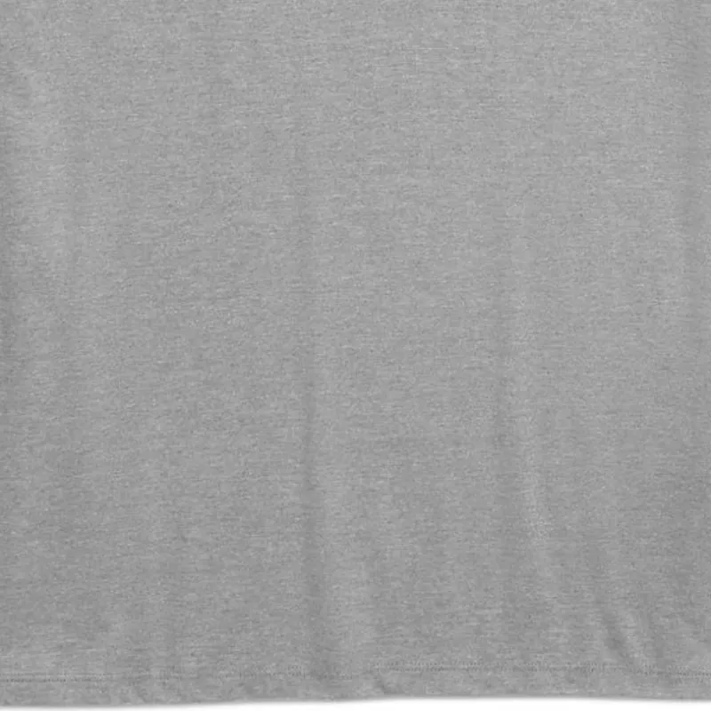 THE NORTH FACE Men’s Big Short-Sleeve Box NSE Tee T-Shirt Men's Gray-4
