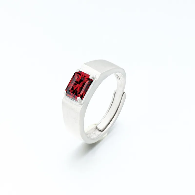 AIDAQIAN S925 Silver Rings Men's-1