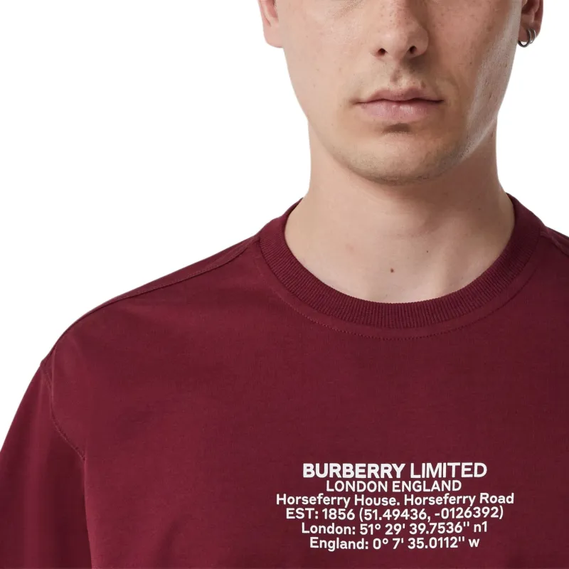 Burberry Coordinates Print Cotton T shirt-3
