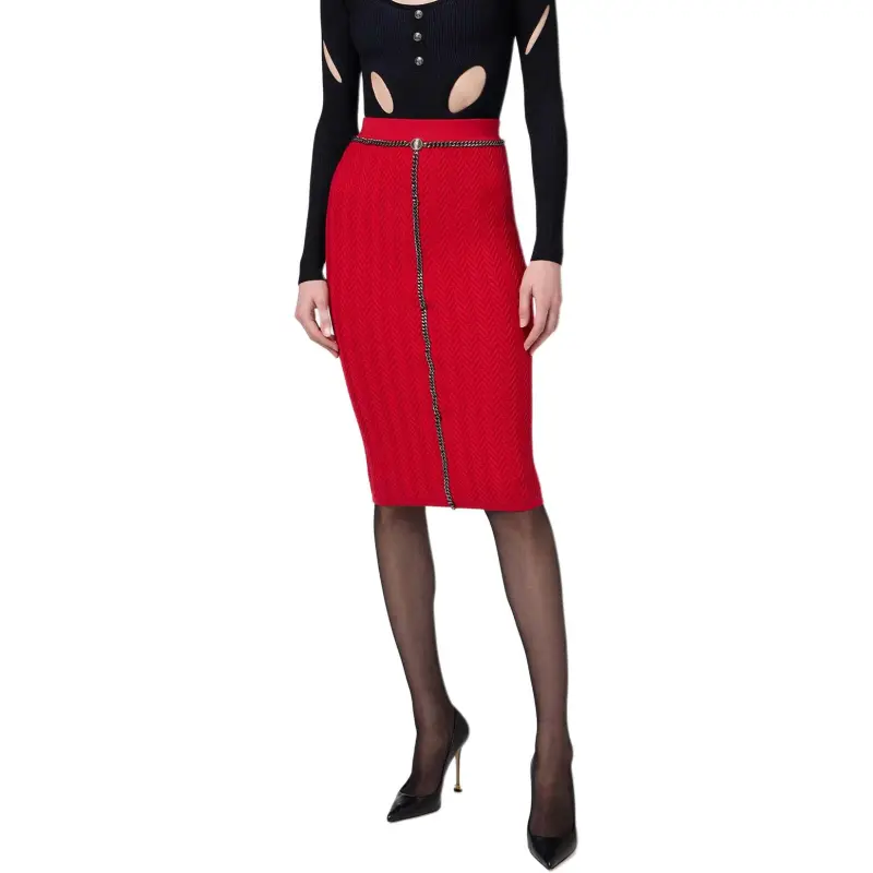 Elisabetta Franchi Chained Midi Skirt-4