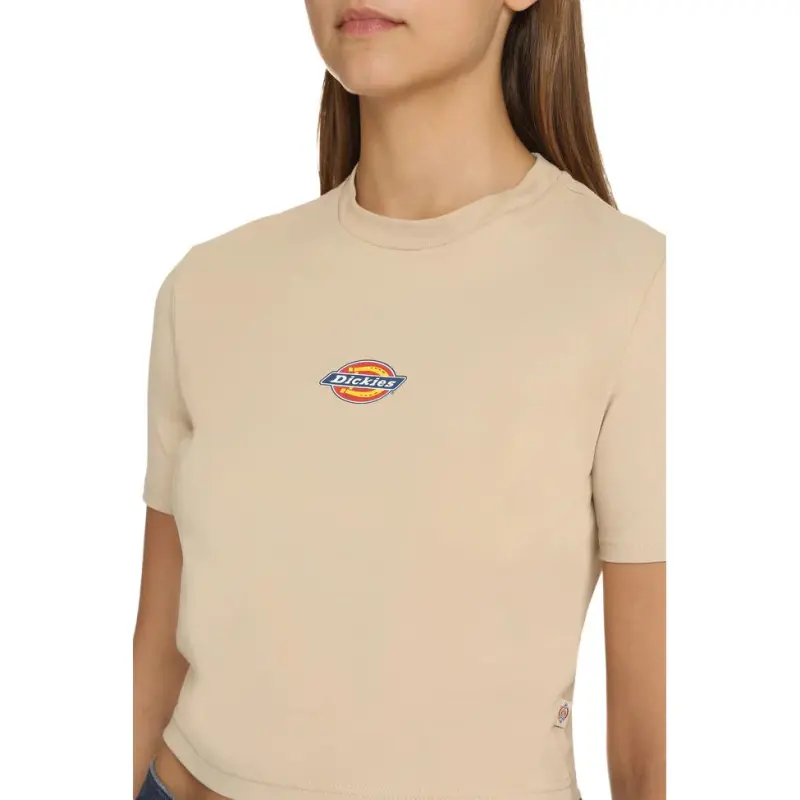 Dickies Maple Valley T shirt-4