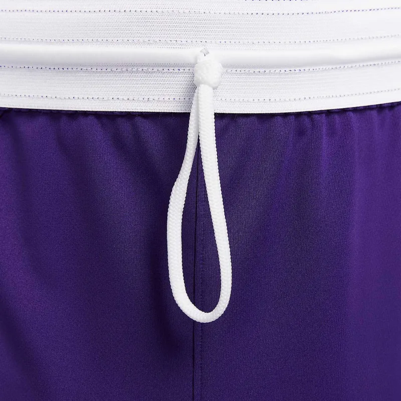 Nike Dri Fit Casual Shorts Men's Court Purple-2