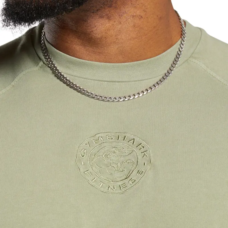 GYMSHARK T Shirt Men's Natural Sage Green-4