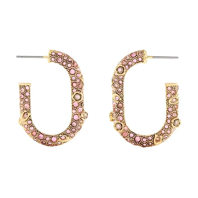 COACH Brass Earrings Women's Pink-1