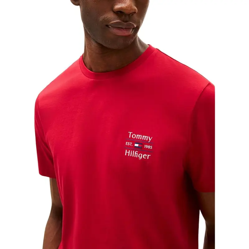Tommy Hilfiger Cotton T shirt-4
