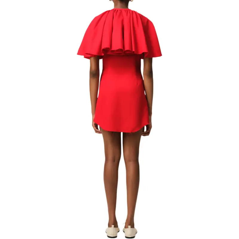AMIPARIS Ruffled Mini Dress-3