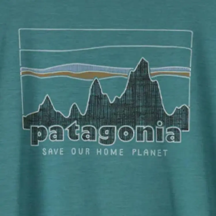 Patagonia T Shirt Women's Wetland Blue-3