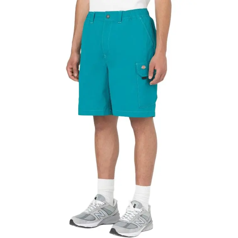 Dickies Casual Shorts Men's Dark Lake Blue-3