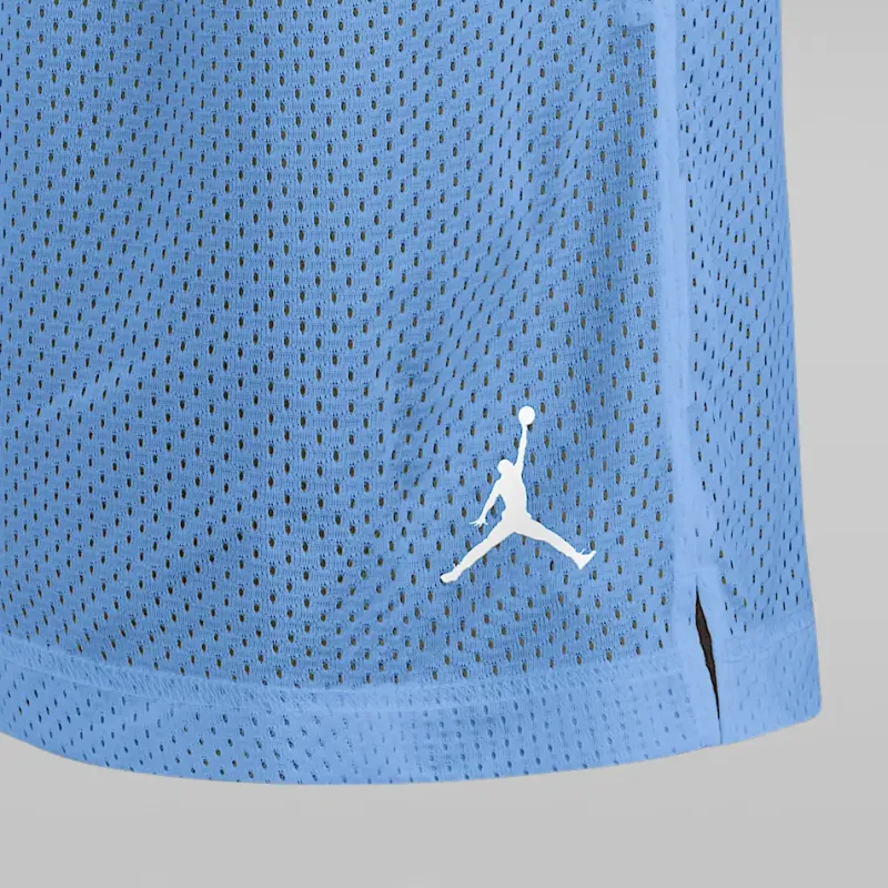 JORDAN North Carolina Tar Heels Player Men's JORDAN Brand Dri-FIT College Shorts-4
