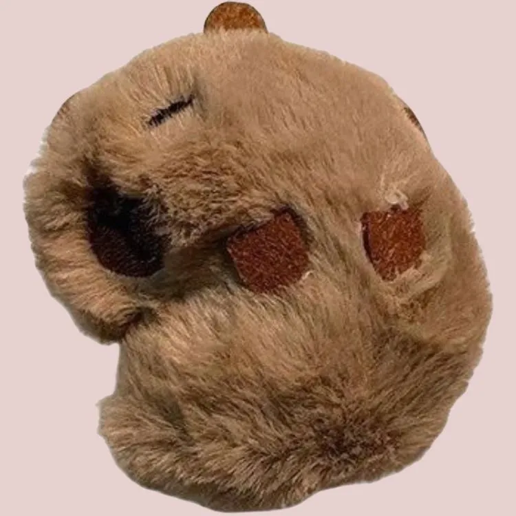 Wei Xin Compatibility With Apple AirPods 4/2/3/4th Generation/AirPods Pro/Pro 2 Plush Capybara Headphone Cases-3