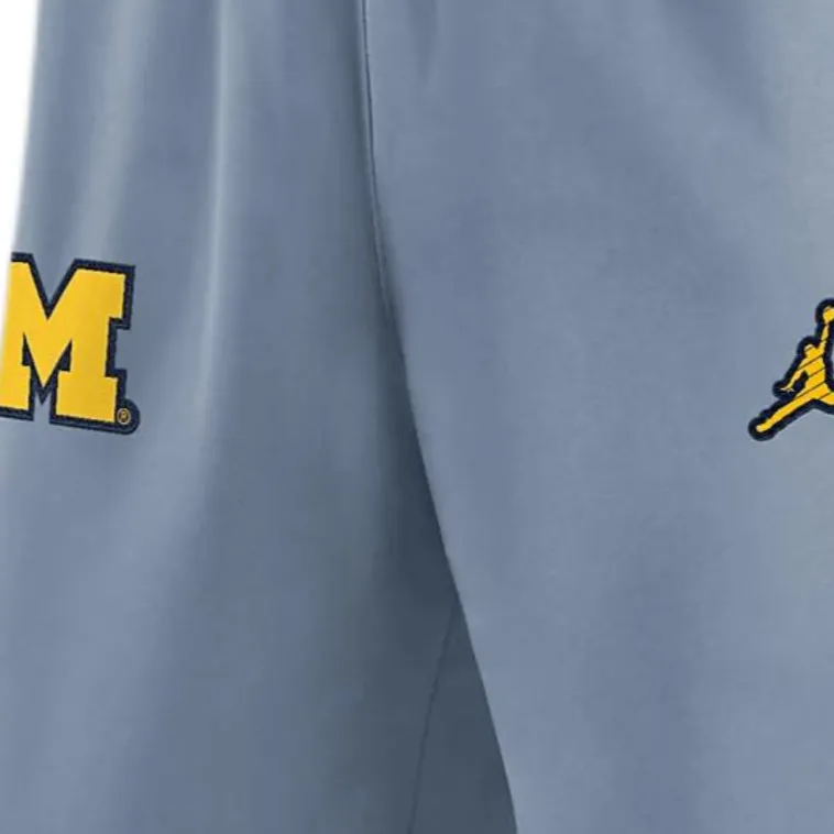 Nike Dri-Fit CollegeMichigan FW24 Wolverines Sideline Player Knitted Sports Pants Men's Gray Stone-2